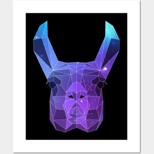 Galaxy Llama Posters and Art